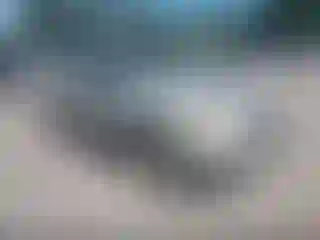 Vehicle Image- 2003 Ford Escape