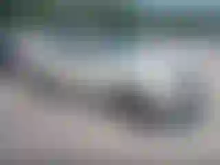 Vehicle Image- 2009 Ford Escape