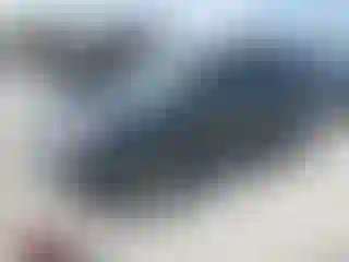 Vehicle Image- 2009 Ford Escape