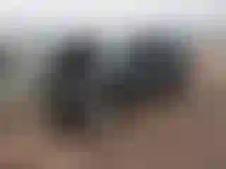 Vehicle Image- 2009 Ford Escape