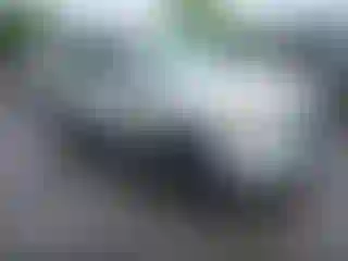Vehicle Image- 2009 Ford Escape