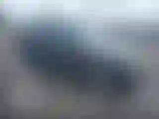 Vehicle Image- 2009 Ford Escape