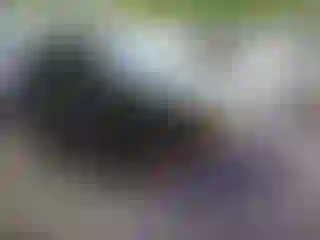 Vehicle Image- 2009 Ford Escape