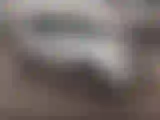 Vehicle Image- 2009 Ford Escape