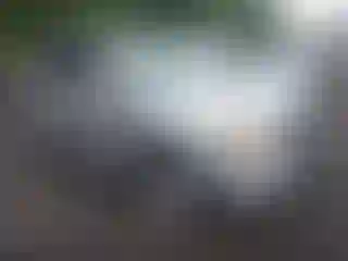 Vehicle Image- 2009 Ford Escape