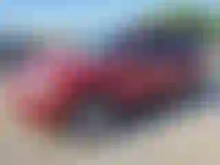 Vehicle Image- 2006 Ford Escape