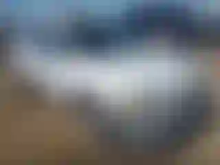 Vehicle Image- 2006 Ford Escape