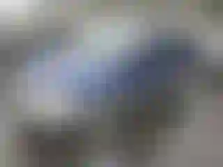 Vehicle Image- 2005 Ford Escape
