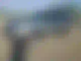 Vehicle Image- 2005 Ford Escape