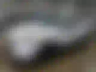 Vehicle Image- 2020 Ford Escape