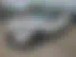 Vehicle Image- 2021 Ford Escape