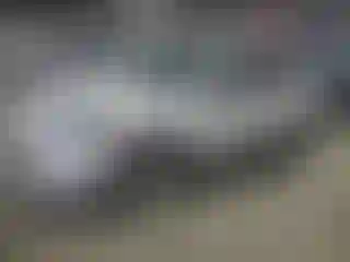 Vehicle Image- 2022 Ford Escape