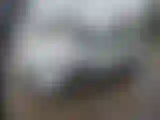 Vehicle Image- 2021 Ford Escape