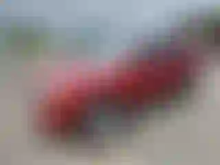 Vehicle Image- 2011 Ford Escape