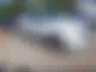 Vehicle Image- 2011 Ford Escape