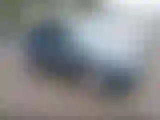 Vehicle Image- 2012 Ford Escape