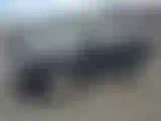Vehicle Image- 2010 Ford Escape