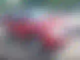 Vehicle Image- 2011 Ford Escape