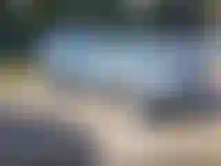 Vehicle Image- 2011 Ford Escape