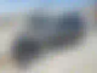 Vehicle Image- 2010 Ford Escape