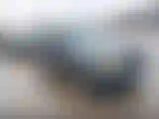 Vehicle Image- 2010 Ford Escape