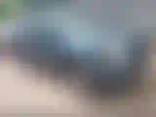 Vehicle Image- 2011 Ford Escape