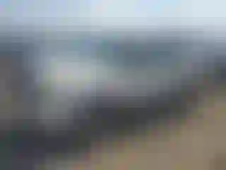 Vehicle Image- 2010 Ford Escape