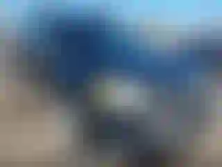 Vehicle Image- 2010 Ford Escape