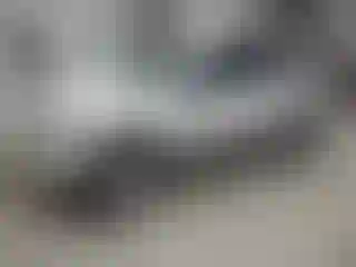Vehicle Image- 2011 Ford Escape