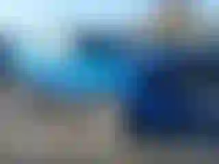 Vehicle Image- 2011 Ford Escape