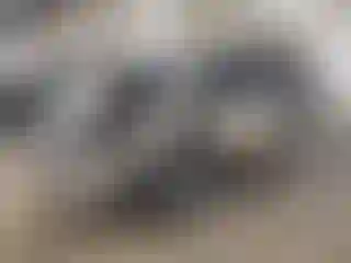 Vehicle Image- 2012 Ford Escape