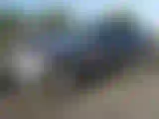 Vehicle Image- 2010 Ford Escape