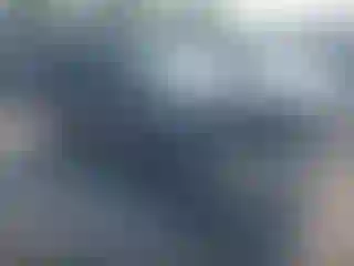 Vehicle Image- 2010 Ford Escape