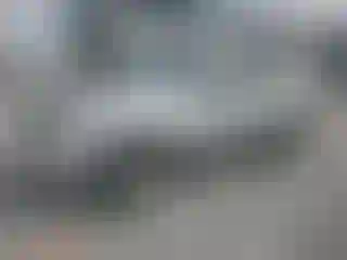 Vehicle Image- 2010 Ford Escape
