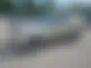 Vehicle Image- 2011 Ford Escape