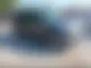 Vehicle Image- 2012 Ford Escape