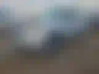 Vehicle Image- 2010 Ford Escape