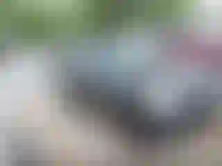 Vehicle Image- 2010 Ford Escape