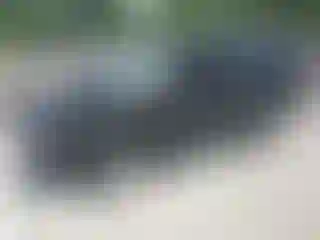 Vehicle Image- 2011 Ford Escape