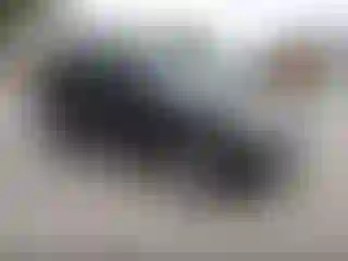 Vehicle Image- 2011 Ford Escape
