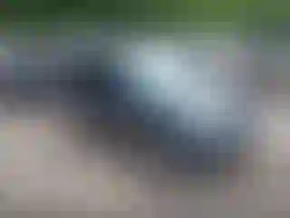 Vehicle Image- 2012 Ford Escape