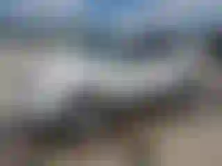 Vehicle Image- 2012 Ford Escape