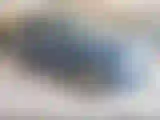 Vehicle Image- 2010 Ford Escape