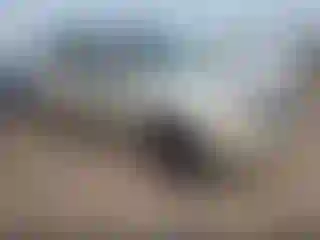 Vehicle Image- 2010 Ford Escape
