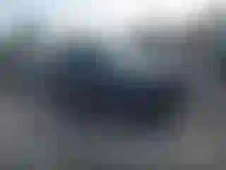 Vehicle Image- 2010 Ford Escape