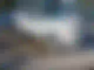 Vehicle Image- 2010 Ford Escape