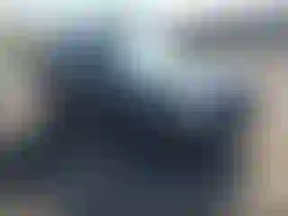 Vehicle Image- 2011 Ford Escape