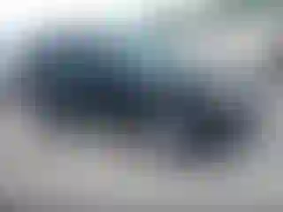 Vehicle Image- 2012 Ford Escape