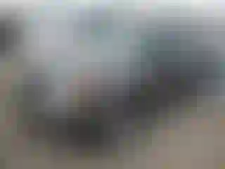 Vehicle Image- 2012 Ford Escape