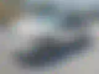 Vehicle Image- 2010 Ford Escape